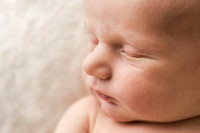 Bennett Carlson | newborn